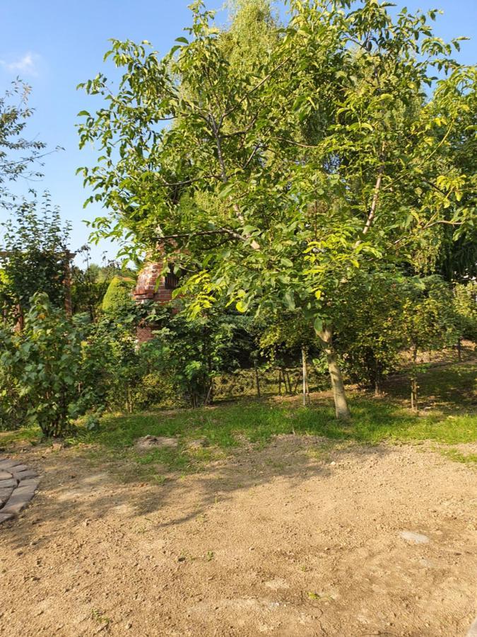 Apartamenty Straconka ,Bielsko-Biała Eksteriør billede